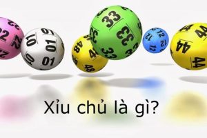 Xỉu chủ là gì